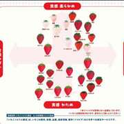 ヒメ日記 2026/04/20 23:36 投稿 さやか トマトなび