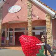 ヒメ日記 2026/04/22 23:31 投稿 さやか トマトなび