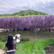 ヒメ日記 2026/04/22 23:51 投稿 さやか トマトなび