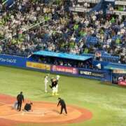 ヒメ日記 2026/06/02 23:32 投稿 さやか トマトなび