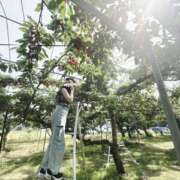 ヒメ日記 2026/06/20 00:31 投稿 さやか トマトなび