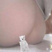 ヒメ日記 2024/12/17 23:09 投稿 すみれ トマトなび