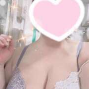 ヒメ日記 2024/12/28 01:43 投稿 すみれ トマトなび