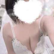 ヒメ日記 2025/02/14 09:18 投稿 すみれ トマトなび