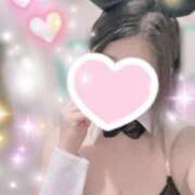 ヒメ日記 2025/03/02 10:02 投稿 すみれ トマトなび