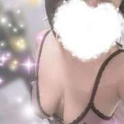 ヒメ日記 2025/03/07 10:18 投稿 すみれ トマトなび