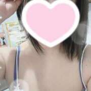 ヒメ日記 2025/03/12 15:55 投稿 すみれ トマトなび