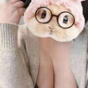 ヒメ日記 2025/03/24 09:39 投稿 すみれ トマトなび