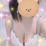 ヒメ日記 2025/03/27 11:11 投稿 すみれ トマトなび