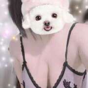 ヒメ日記 2025/04/04 09:52 投稿 すみれ トマトなび