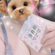 ヒメ日記 2025/04/05 10:18 投稿 すみれ トマトなび