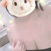 ヒメ日記 2025/04/09 16:15 投稿 すみれ トマトなび