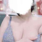 ヒメ日記 2025/04/13 09:16 投稿 すみれ トマトなび