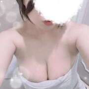 ヒメ日記 2025/04/14 16:49 投稿 すみれ トマトなび