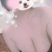 ヒメ日記 2025/04/23 09:58 投稿 すみれ トマトなび