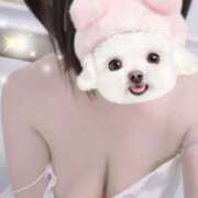 ヒメ日記 2025/04/23 20:30 投稿 すみれ トマトなび