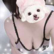 ヒメ日記 2025/04/29 11:00 投稿 すみれ トマトなび