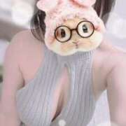 ヒメ日記 2025/05/01 14:18 投稿 すみれ トマトなび