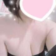 ヒメ日記 2025/05/05 16:21 投稿 すみれ トマトなび