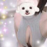 ヒメ日記 2025/05/10 10:45 投稿 すみれ トマトなび