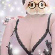 ヒメ日記 2025/05/11 08:48 投稿 すみれ トマトなび