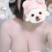 ヒメ日記 2025/05/19 16:53 投稿 すみれ トマトなび