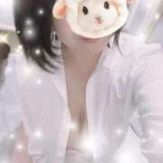 ヒメ日記 2025/05/21 16:17 投稿 すみれ トマトなび