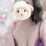 ヒメ日記 2025/05/27 16:11 投稿 すみれ トマトなび