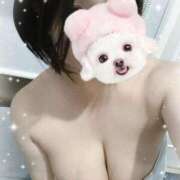 ヒメ日記 2025/06/03 09:55 投稿 すみれ トマトなび