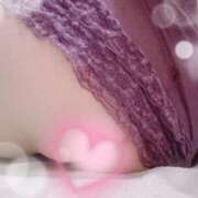 ヒメ日記 2025/06/04 17:21 投稿 すみれ トマトなび