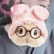 ヒメ日記 2025/06/09 15:57 投稿 すみれ トマトなび