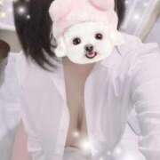 ヒメ日記 2025/06/11 16:30 投稿 すみれ トマトなび