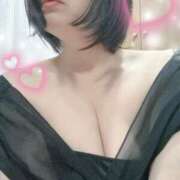 ヒメ日記 2025/06/12 10:30 投稿 すみれ トマトなび