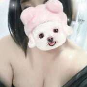 ヒメ日記 2025/06/13 15:53 投稿 すみれ トマトなび