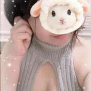 ヒメ日記 2025/06/18 00:11 投稿 すみれ トマトなび