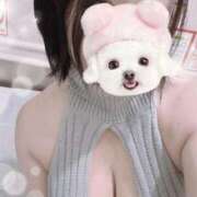 ヒメ日記 2025/06/20 17:23 投稿 すみれ トマトなび