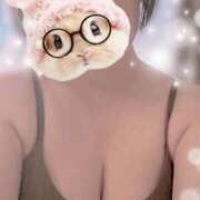 ヒメ日記 2025/06/23 08:46 投稿 すみれ トマトなび