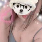 ヒメ日記 2025/06/27 09:07 投稿 すみれ トマトなび