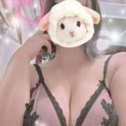 ヒメ日記 2025/06/30 11:31 投稿 すみれ トマトなび