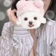 ヒメ日記 2025/07/03 00:11 投稿 すみれ トマトなび