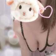 ヒメ日記 2025/07/05 00:50 投稿 すみれ トマトなび