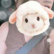 ヒメ日記 2025/07/16 11:18 投稿 すみれ トマトなび