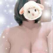 ヒメ日記 2025/07/17 15:54 投稿 すみれ トマトなび