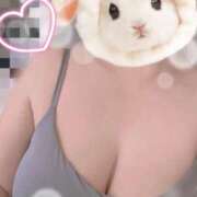 ヒメ日記 2025/07/23 09:31 投稿 すみれ トマトなび