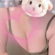 ヒメ日記 2025/07/28 16:18 投稿 すみれ トマトなび