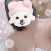 ヒメ日記 2025/07/31 21:39 投稿 すみれ トマトなび