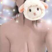 ヒメ日記 2025/08/02 01:16 投稿 すみれ トマトなび