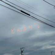 ヒメ日記 2025/08/12 09:17 投稿 すみれ トマトなび