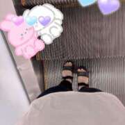 ヒメ日記 2025/08/26 09:16 投稿 すみれ トマトなび