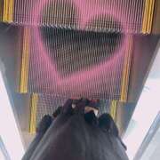 ヒメ日記 2025/08/27 16:19 投稿 すみれ トマトなび